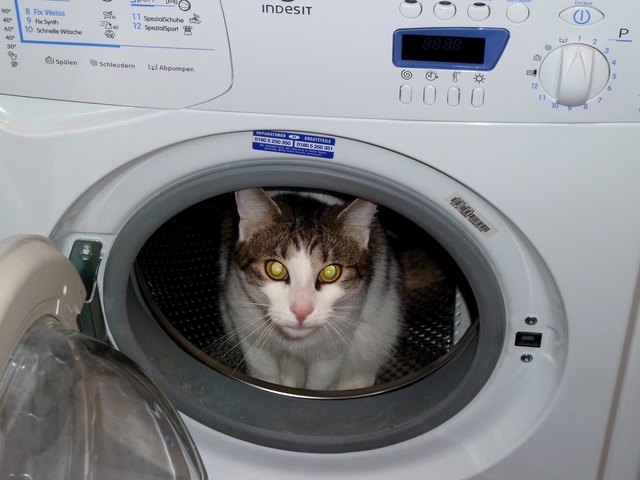 Einmal waschen und schleudern