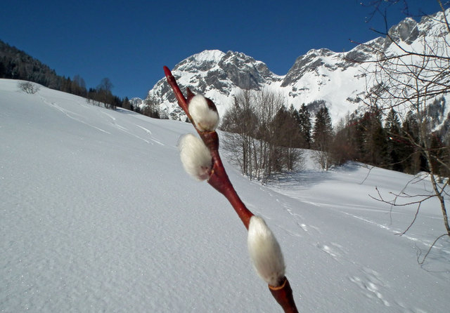 Lammertal - Lungötz