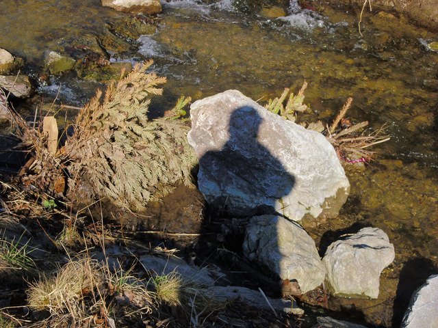 Noch ein Rest von Weihnachten