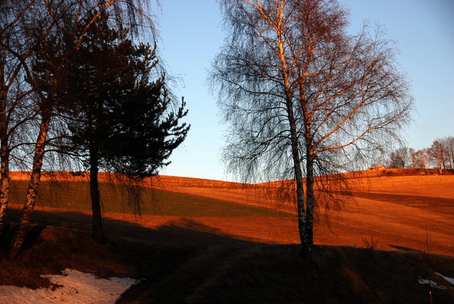 die Farben waren in natura so
