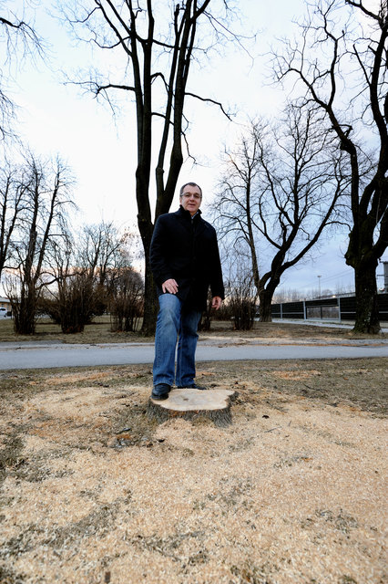 Bürgermeister Rupert Dworak bei einer Schnittstelle im Park bei der Südbahn. Und bald werden hier rote Kastanienbäume stehen.