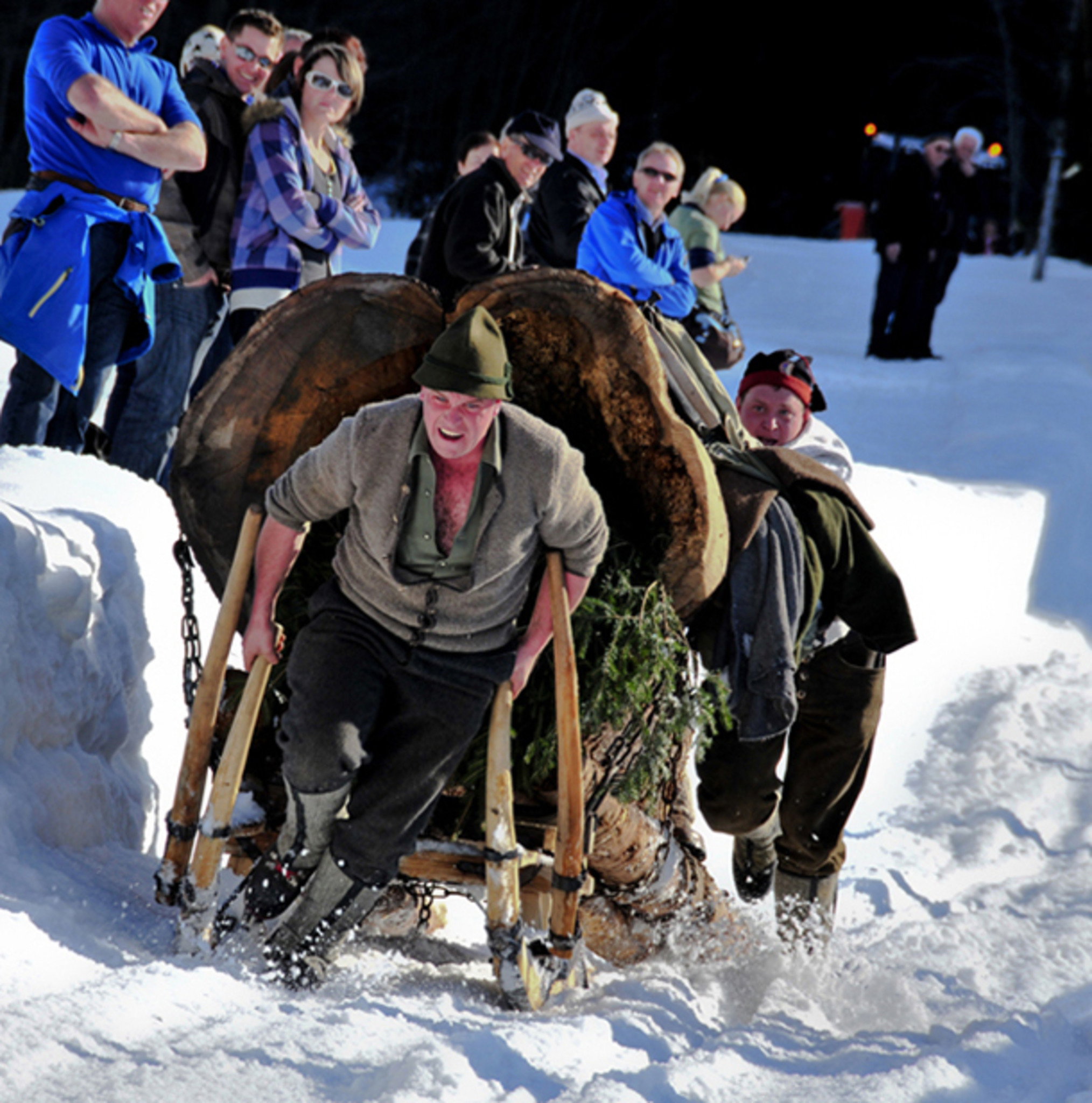 volle Kraft voraus Pinzgau
