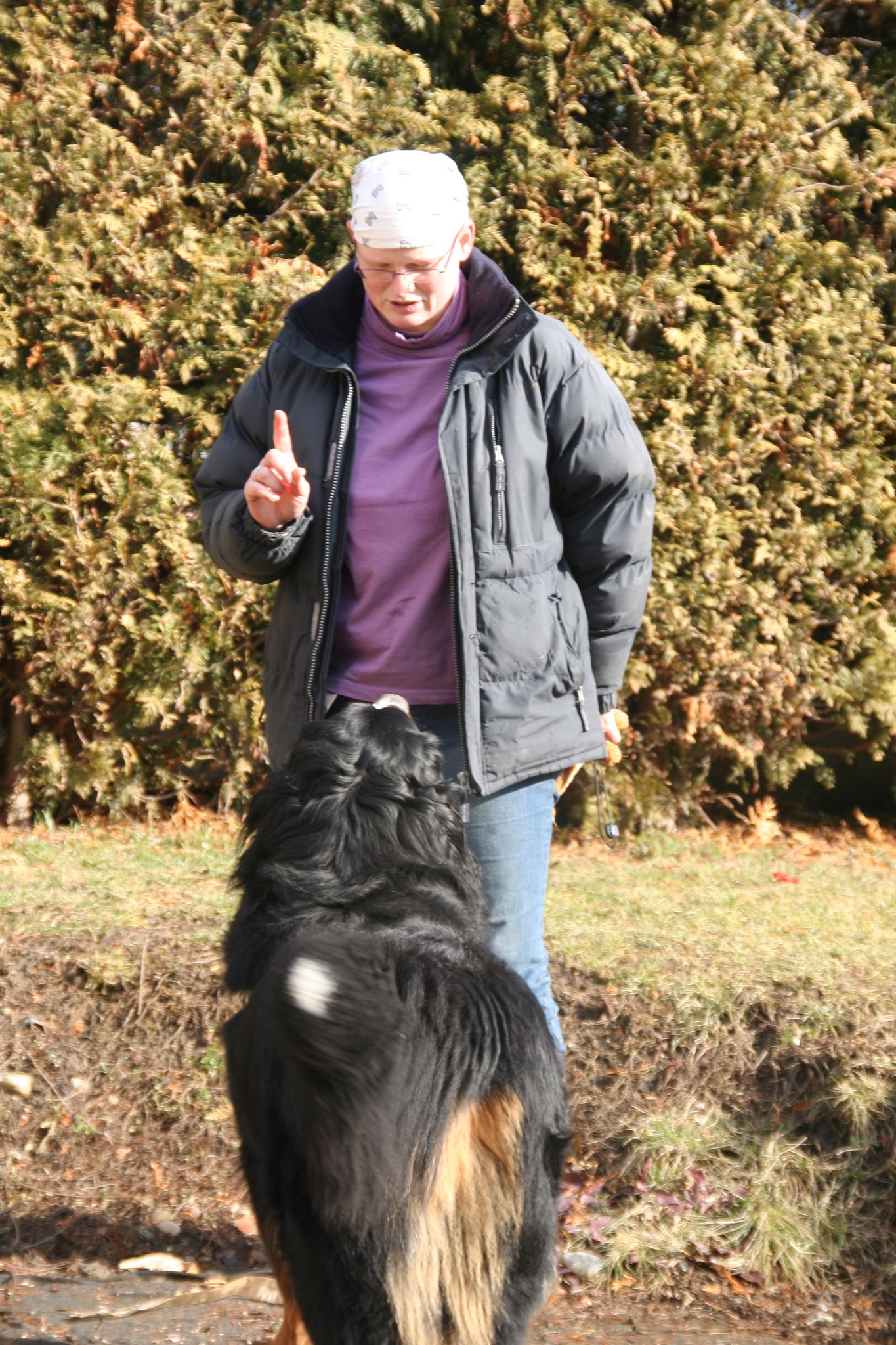 partner gesucht mit hund klosterneuburg partner gesucht mit hund klosterneuburg