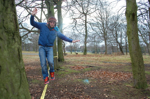 Der Mühlbachwald  wird umgewidmet. Es könnte schon bald ein Slackline-Garten entstehen. | Foto: Stadt Wels