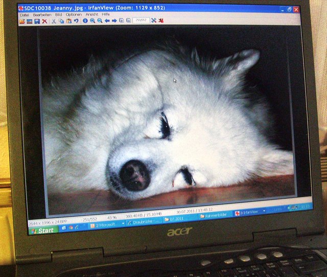 Ein Computerbild unserer "Jeanny";-))