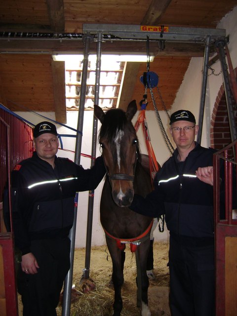 HBI Gerald Wonner und OLM Erwin Fragner, zwei der eingesetzten Gössendorfer Feuerwehrleute, mit dem geretteten Wallach Figo.