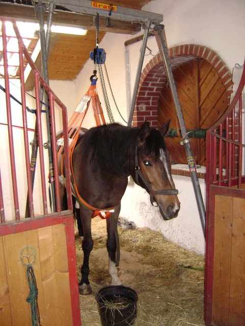 Figo, gesichert mit dem Rettungsset.