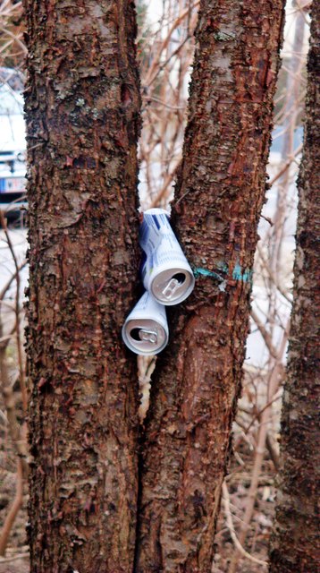 10 Meter entfernt befindet sich ein "Richtiger Abfallbehälter"