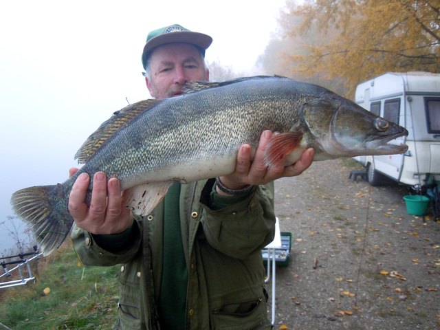 Zander mit 75 cm.