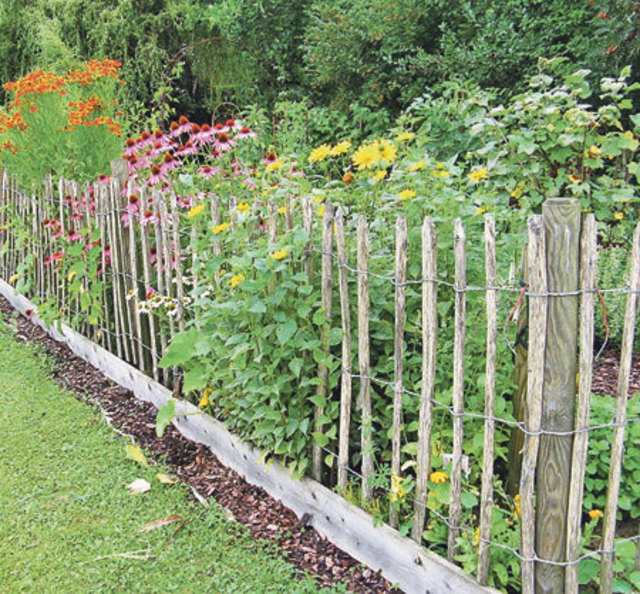 Anlehnungsbedürftige Bauerngartenblumen wachsen entlang des Zaunes.