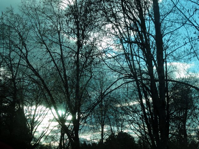 Sonntag nachmittag spiegelte sich diese türkis-blaue Himmelsfärbung im See.