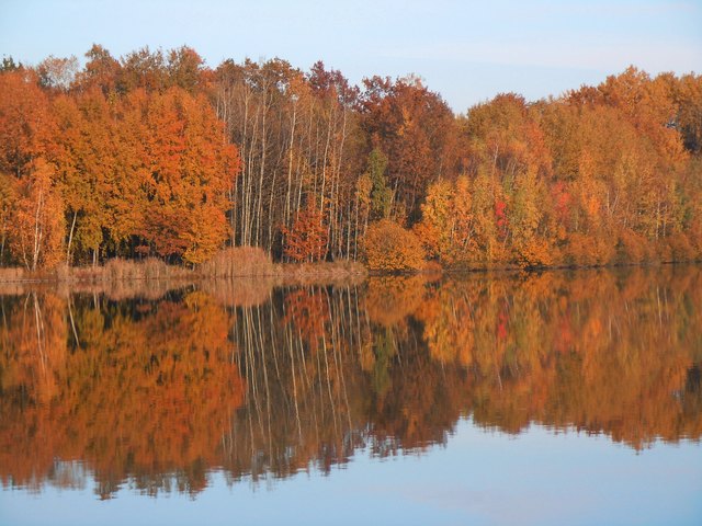 Spiegelbild am anderen Ufer
