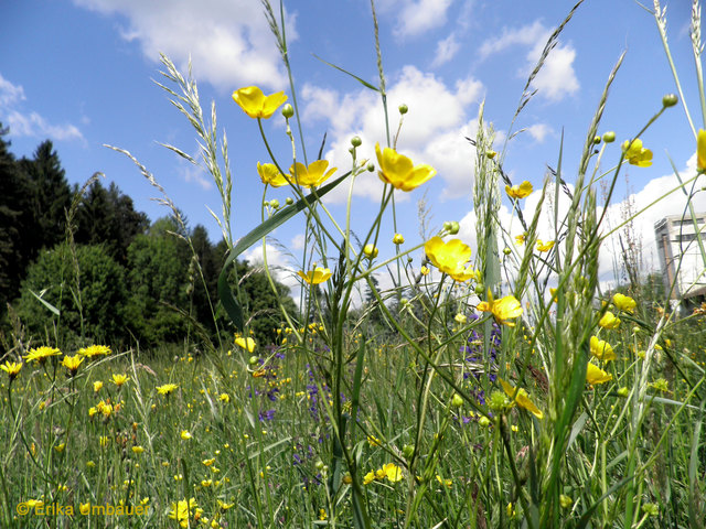 Natur unbeschwert genießen