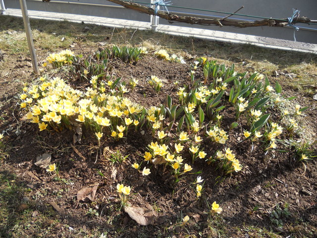 Der Frühling ist da !