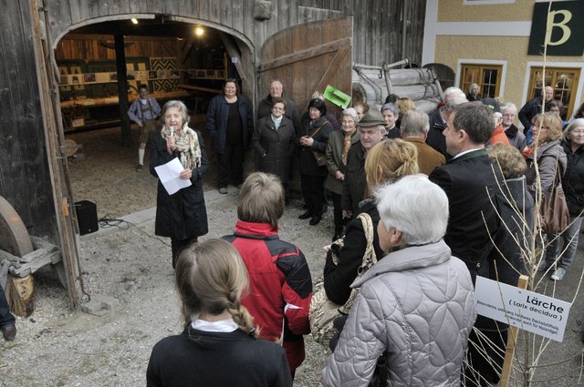 Veronika Pitschmann eröffnet die Zimmermans-Ausstellung