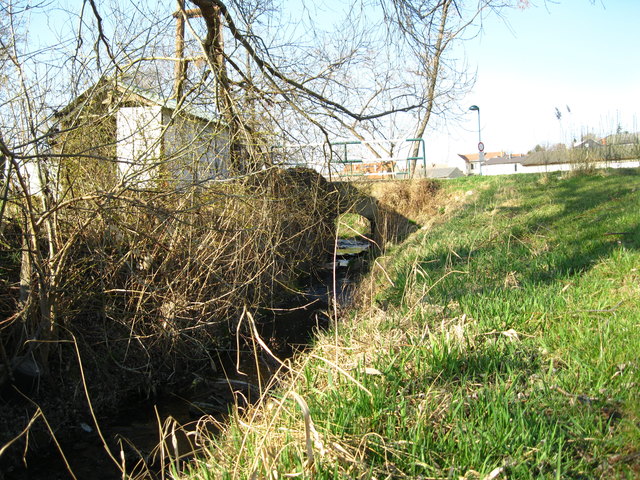 entlang des Baches wird es grün