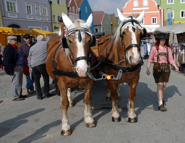 166. Pferdemarkt in Obernberg am Inn