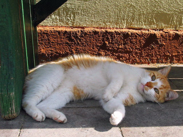 ...ich liege lieber darunter ;-)