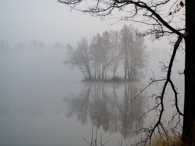 Morgenstimmung am Teich