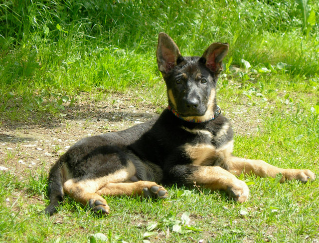 Foto: Privat