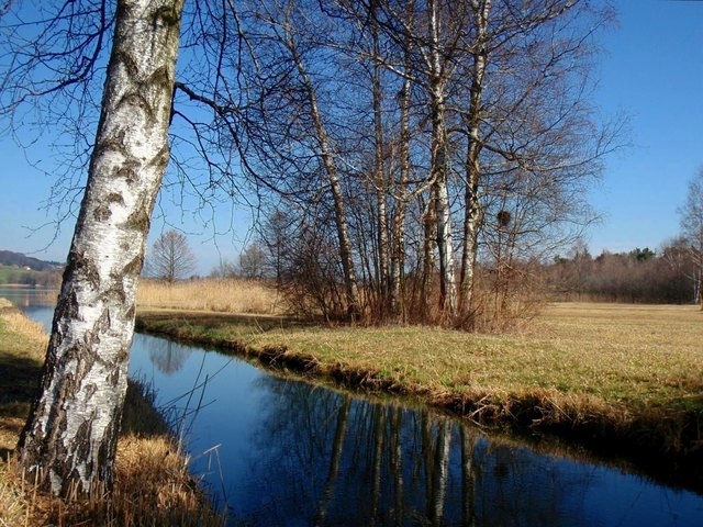 ...diese wunderschöne Birke am Ufer des Obertrumer Sees.Ich habe sie schon zu jeder Jahres- und Tagzeit abgelichtet ;-) LG Emma