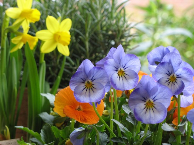Nach den rekordverdächtigen Naturschneemengen und den bitterkalten Temperaturen hat jetzt auch im Pinzgau der Frühling Einzug gehalten.