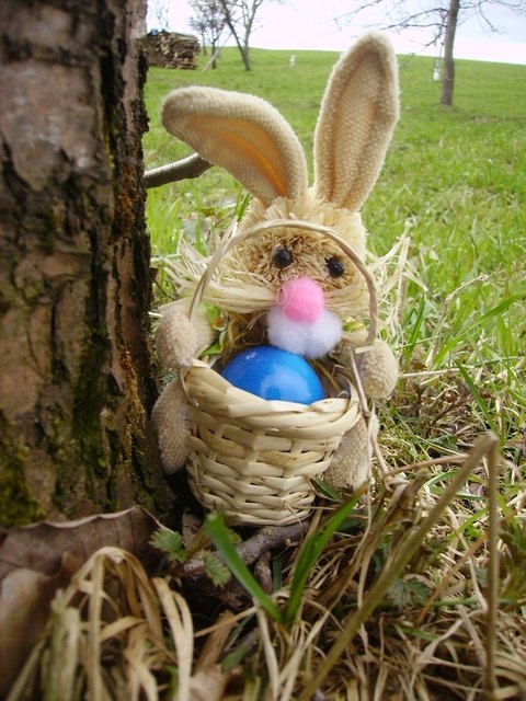 wünschen euch dieses "Osterhasi" und ich... ;-)