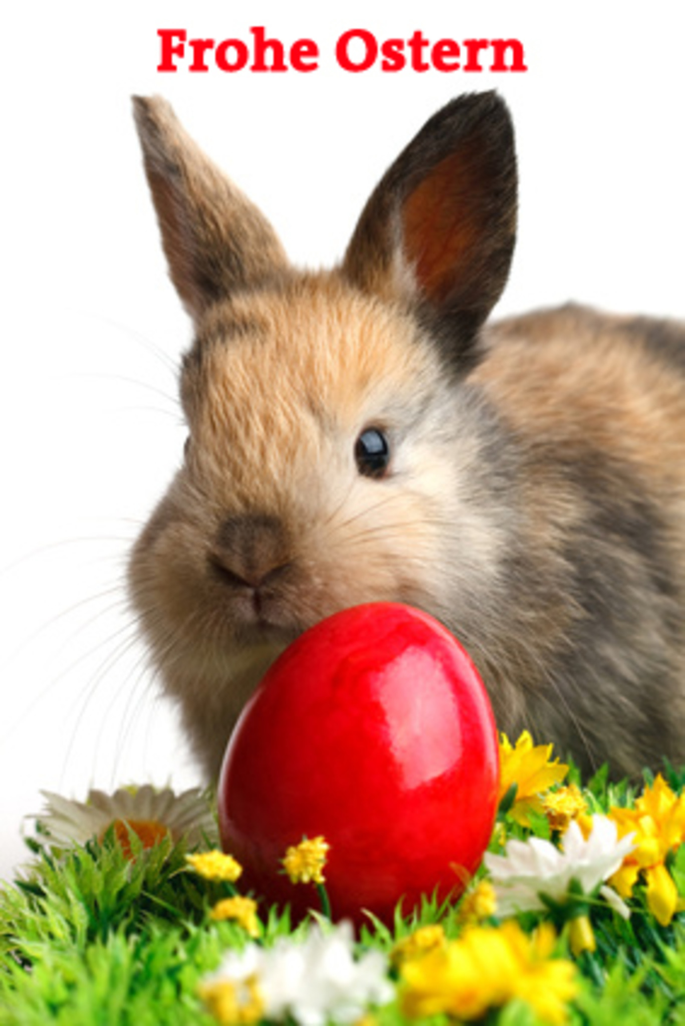 Frohe Ostern an alle Regionauten!!! Eisenstadt