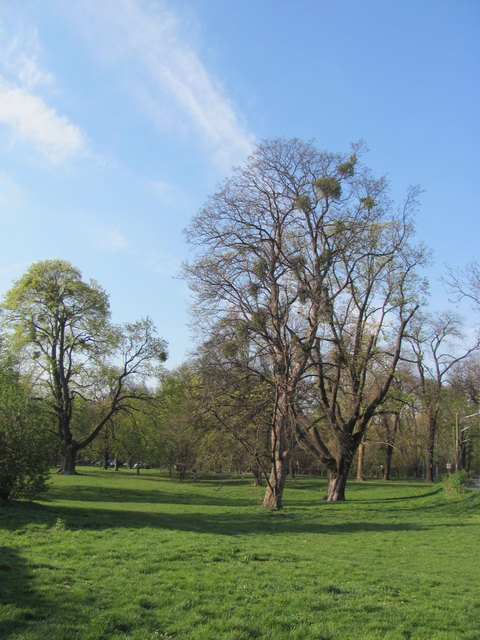 Der Frühling im Prater