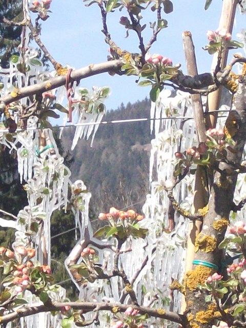 Spaziergang am Ostermontag