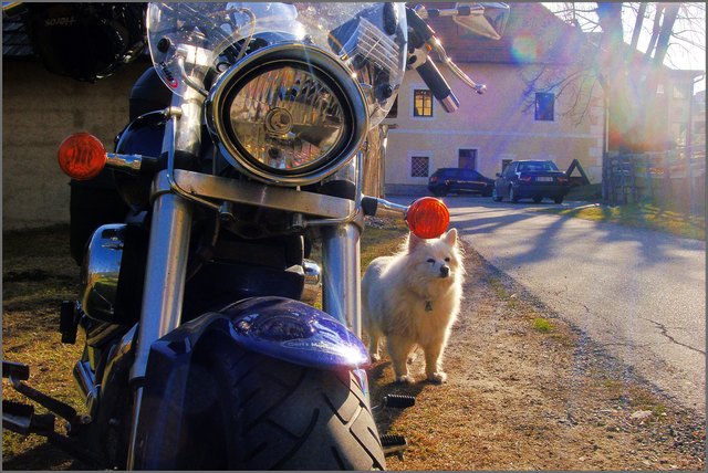 Verkehrskontrolle!!  http://www.vienna.at/weisse-maeuse-ueben-wieder/news-20070503-05564259