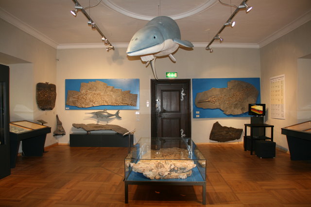 Der Omphalosaurus Wolfi ziert auch das Signet des Gollinger Museums. | Foto: Burg Golling