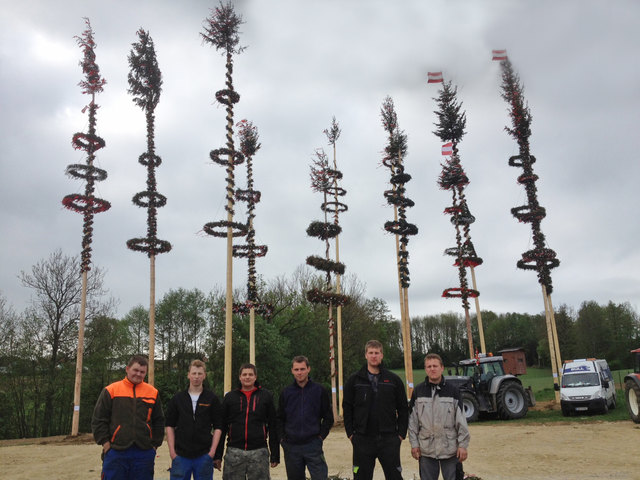 Franz Gstöttenbauer, Johann Schimböck, Thomas Pichler, Philip Rittberger, Erwin Rudelsdorfer und Daniel Mayr vor den zwölf gestohlenen Maibäumen bei der Naturgasanlage Engerwitzdorf.