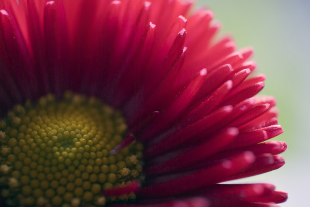 Foto: Christoph Huber