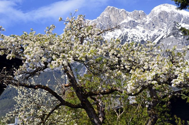 Foto: Elisabeth Fazel