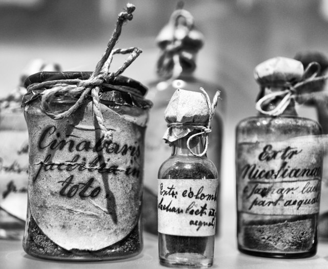 Foto: Andreas Wegscheider