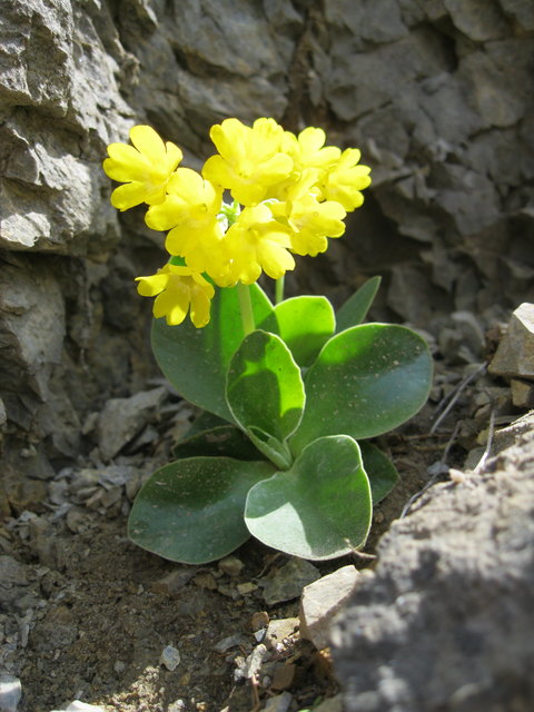 Foto: Birgit Kaltschmid