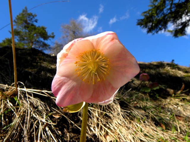 Foto: Matthias Spruck