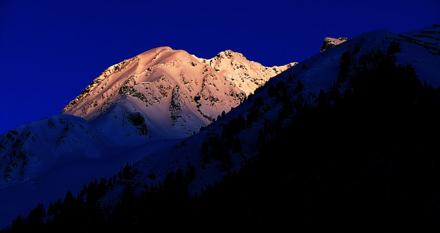 Foto: Bernhard Gruber