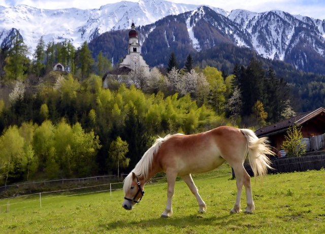 Foto: Elisabeth Fazel