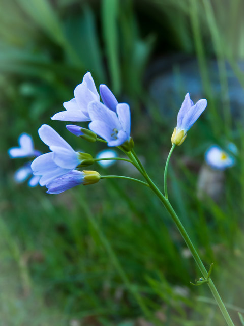 Foto: Alexandra Salvenmoser