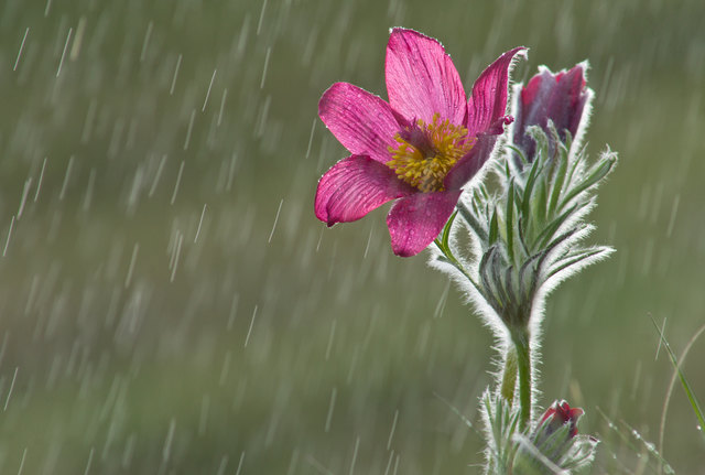 Foto: Andreas Wegscheider