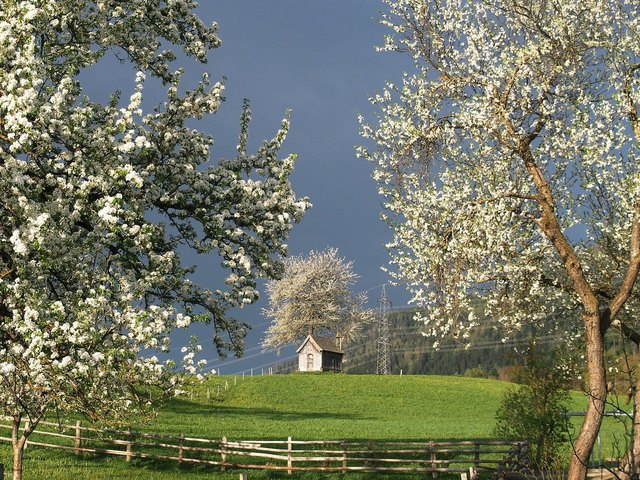 Foto: Martina Lengauer