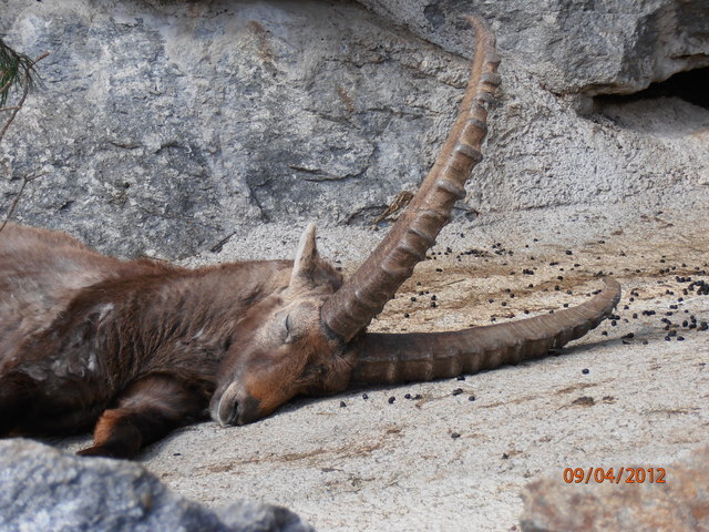 Foto: Stephanie Leitgeb