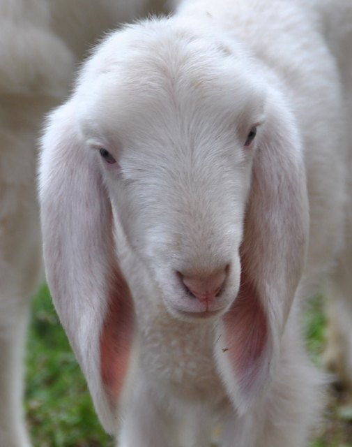 Foto: Michaela Maurer