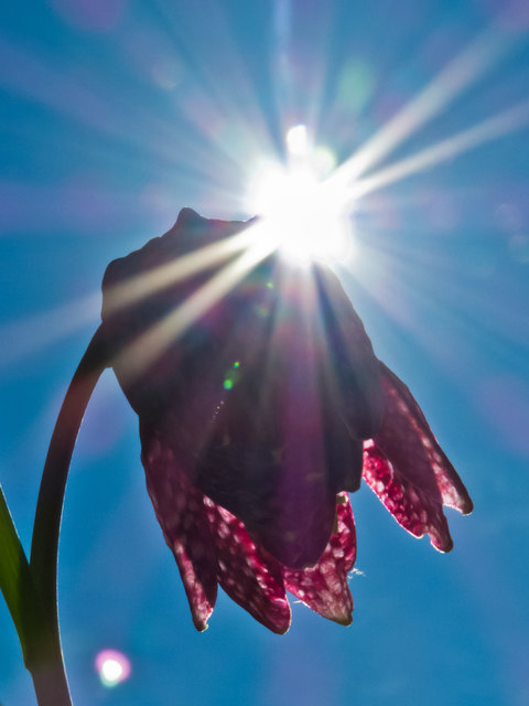 Foto: Alexandra Salvenmoser