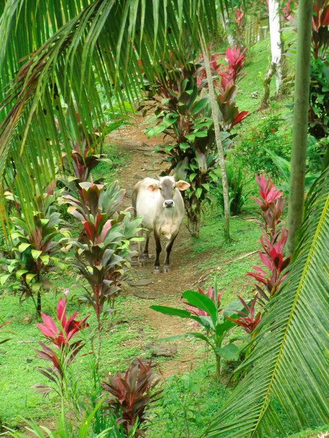 Foto: Rosi Gschließer