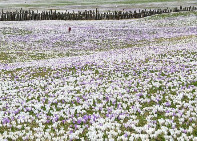 Foto: Bernadetta Kuppelwieser