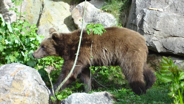 Hm, riecht vielversprechend.