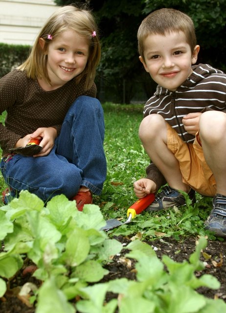 Den Kindern macht das Garteln im Schulunterricht großen Spaß. | Foto: Votava/PID